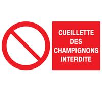 Panneau adhésif CUEILLETTE DES CHAMPIGNONS INTERDITE 330X200MM TALIAPLAST - 721221