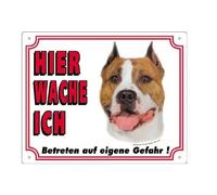 Panneau affichage pour chien Nobby Pet American Staffordshire Terrier Blanc 250x200 mm