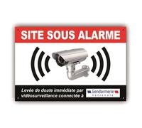 Panneau Alarme Video Surveillance, caméra - Système relié à Gendarmerie - PVC 300x200 mm + 4 trous - Résistant UV - GRBN