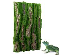 Panneau arrière en pour Terrarium - Structure d'écorce décorative - Mur résistant à l'humidité pour Reptiles - Design Naturel avec Aspect Mousse - Décoration d'intérieur pour Tortues, Geckos