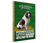 Panneau chien Springer Spaniel - Plaque décorative en bois pour les amoureux des chiens - Vert - Avec image chien - 30 x 40 cm