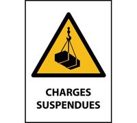 Panneau danger - Charges suspendues - W015 - ISO EN 7010 - PVC dos adhésif - A4
