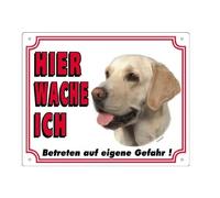 Nobby Panneau d'avertissement Labrador Jaune Clair 12 x 3,5 cm