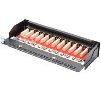Panneau de brassage DIGITUS Desktop Cat.6A Classe EA 12 x RJ45