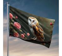 Panneau de chambre universitaire « A Barn Owl perches on a Branch Orné de fleurs roses » Décorations pour la cuisine Cool Stuff pour garçons (30 x 45 cm)