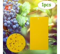 Panneau De Collage D'insectes Puissant, 10cm X 20cm, Double Face, Pour Vergers De Jardin, Lutte Contre Les Insectes Nuisibles, Whefly Thrip, Feuille De Colle