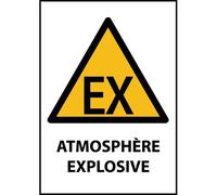 Panneau de danger - Atmosphère explosive - W021 - ISO 7010 - Vinyle Souple Autocollant - A4