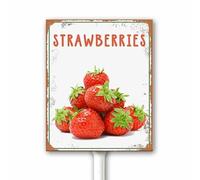 Panneau de jardin vintage avec motif fraises et piquet de fruits pour jardin, ferme, décoration de vie à la ferme, panneau en aluminium robuste pour une utilisation en extérieur, étanche, 20 x 30 cm