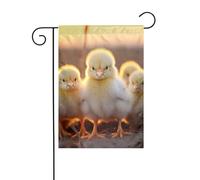 Panneau de Noël imprimé « A Brood Of Chickens7 » - 30,5 x 45,7 cm - Double face - Pour l'extérieur du sapin de Noël - Drapeau décoratif