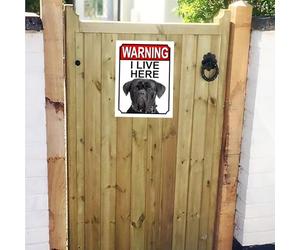 Panneau de portail en métal « Attention, j'habite ici » avec un chien Cane Corso
