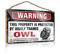 Panneau de porte amusant en bois avec inscription « This Property Is Protected By A Highly Trained Owl » - Décoration de porche amusante (20 x 30 cm)