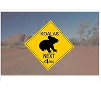 Panneau de route australien en style australien - Panneau fantaisie en forme de koala - 30,5 x 30,5 cm