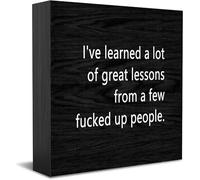Panneau décoratif en bois avec inscription « I'Ve Learned A Lot Of Great Lessons From A Few ed Up People » - Décoration de bureau - 12,7 x 12,7 cm