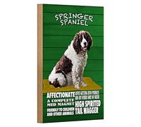 Panneau décoratif en bois pour les amoureux des chiens - Vert - Avec image chien - 12 x 18 cm
