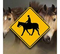 Panneau d'équitation en aluminium 30,5 x 30,5 cm