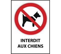 Panneau d'interdiction - Pictogramme Chiens interdits - ISO 7010 PVC dos adhésif A4