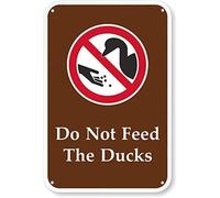Panneau « Do Not Feed The Ducks » - 30,5 x 20,3 cm - Haute intensité