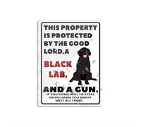 Panneau en acrylique avec inscription « This Property Is Protected By The Good Lord A Black Lab Dog » - 15,2 x 20,3 cm - Panneau autocollant en acrylique pour porte ou mur