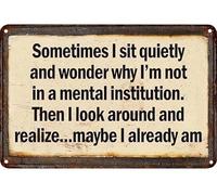 Panneau en aluminium avec inscription « Sometimes I Sit Quietly And Wonder Why I'm Not In A Mental Institution » - Décoration murale vintage - 20,3 x 30,5 cm