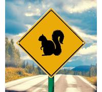 Panneau en aluminium « Caution Squirrel Xing Crossing Notice » - Jaune - Zone sauvage - Pour cour, garage, allée, maison, clôture, décoration extérieure - Poster imprimé - 25,4 x 25,4 cm