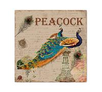 Panneau en bois vert aqua avec motif fleur de paon rustique, décoration murale de style ferme, panneau de rêve de paon avec crochet pour décoration de ferme, chambre à coucher, salon, 20,3 x 20,3 cm