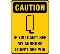 Panneau en étain « If You Can T See My Mirrors I Can T See You Warning » - Décoration murale pour maison, cuisine, ferme, jardin, garage - 30,5 x 20,3 cm