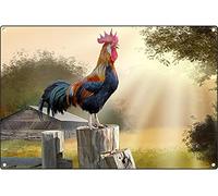 Panneau en étain vintage amusant - Impression photo de coq - Art mural sur toile de coq - Impression moderne - Décoration unique pour salon - Art rétro - 20,3 x 30,5 cm