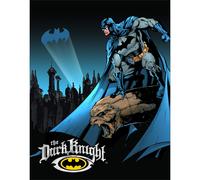 Panneau en m?tal Signs 4 Fun SIg356 Batman Dark Knight, bleu