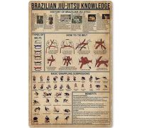 Panneau en métal avec connaissances du Jiu-Jitsu brésilien, comment comprendre les bases du Jiu-Jitsu brésilien, affiche infographique pour l'école, le club, la maison, la cuisine, le bar, le café, pl