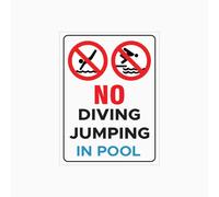 Panneau en métal avec inscription « No Diving or Jumping in Pool » - 20,3 x 30,5 cm