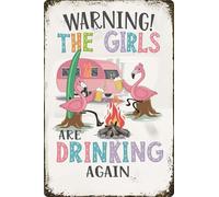 Panneau en métal humoristique avec inscription « Warning The Girls Are Drinking Again » - 20,3 x 30,5 cm - Décoration murale vintage avec flamants roses et camping-car - Pour garage, porche, café, bar