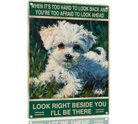 Panneau en Métal Le Chien Maltais Regarde Juste À Côté De Toi Signes en Métal Personnalisé Panneau Métallique pour Club Toilettes Décoration Murale S