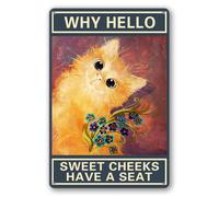 Panneau en métal Why Hello - Décoration murale exquise - Cadeau inspirant - Affirmations positives à suspendre pour bureau, salle de classe, maison, salon, chambre à coucher - 20,3 x 30,5 cm