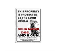 Panneau en plastique acrylique avec inscription « This Property Is Protected By The Good Lord Schnauzer Dog » - Avec ruban adhésif double face - 15,2 x 20,3 cm