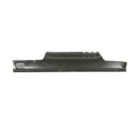 Panneau latéral BLIC 6505-06-9568042K