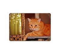 Panneau Métal Vintage,Chat,Fer Plaque Peinture Rétro Décoration Murale Art Mural à Suspendre pour Jardin Cour Maison Café Extérieur Club Bar,15 x 30 cm (6 x12 inch)-R48