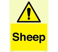 Panneau mouton - 300 x 400 mm - A3P