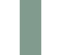 Panneau mural douche VIPANEL - Couleur unie Pantone 5565 - Finition velvet - 1000x2550