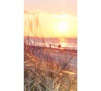 Panneau mural douche VIPANEL - Inspiration nature Dune bord de mer - Finition brillant - 1500x2550