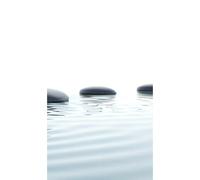 Panneau mural douche VIPANEL - Inspiration nature Galets - Finition brillant - 1500x2550