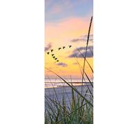 Panneau mural douche VIPANEL - Inspiration nature Mer 2 - Finition brillant - 1000x2550