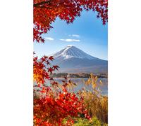 Panneau mural douche VIPANEL - Inspiration nature Mont Fuji - Finition brillant - 1500x2550
