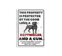 Panneau mural en acrylique pour mur avec inscription « This Property Is Protected By The Good Lord Rottweiler Dog » - Avertissement extérieur - Longue durée - Avec ruban adhésif double face au dos