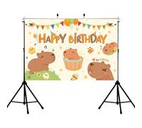 Panneau mural « Happy Birthday » - Bannière de cour d'anniversaire - Dessin animé - Poster pour fête d'anniversaire pour , adorable arrière-plan photographique