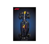 Panneau mural pour Lego 42206 F1 Racing - Support mural pour 42206 - Cadeau idéal pour les amateurs de voiture - 80 x 50 cm (42206 D)