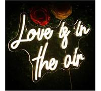 Panneau néon à suspendre avec bras blanc néon « Love is in the air » LED pour fête de mariage, décoration murale