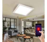 Panneau Plafonnier Dimmable Smart LED Avec Télécommande Lampe De Bureau L 30cm