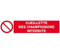Panneau rigide CUEILLETTE DES CHAMPIGNONS INTERDITE 330x75mm TALIAPLAST - 625221