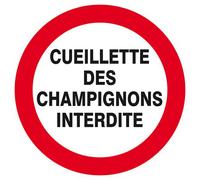 Panneau rigide CUEILLETTE DES CHAMPIGNONS INTERDITE D.300mm TALIAPLAST - 622237