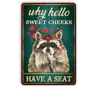 Panneau vintage en aluminium avec inscription « Why Hello Sweet Cheeks Raccoon » - Décoration murale rétro pour la maison, la cuisine, le café, le bar, les vacances, 20,3 x 30,5 cm